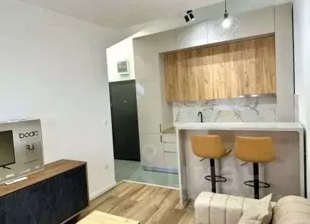 1-к кв. Краснодарский край, Сочи ул. Ленина, 276/3 (32.0 м) - Фото 1