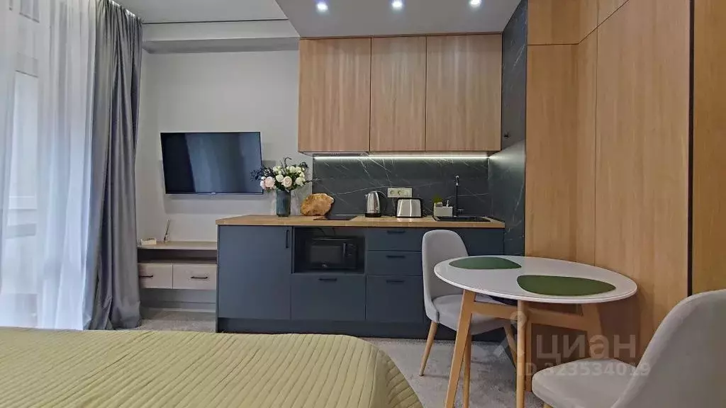 Студия Краснодарский край, Сочи Красная Поляна пгт, ул. Ачишховская, ... - Фото 2