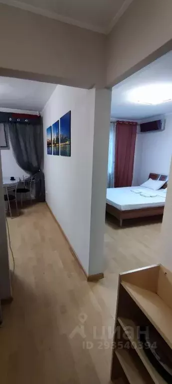 1-к кв. Приморский край, Владивосток ул. Анисимова, 17 (35.0 м) - Фото 1