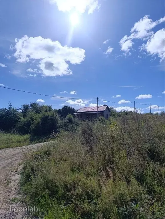 Участок в Калининградская область, Зеленоградский муниципальный округ, ... - Фото 1