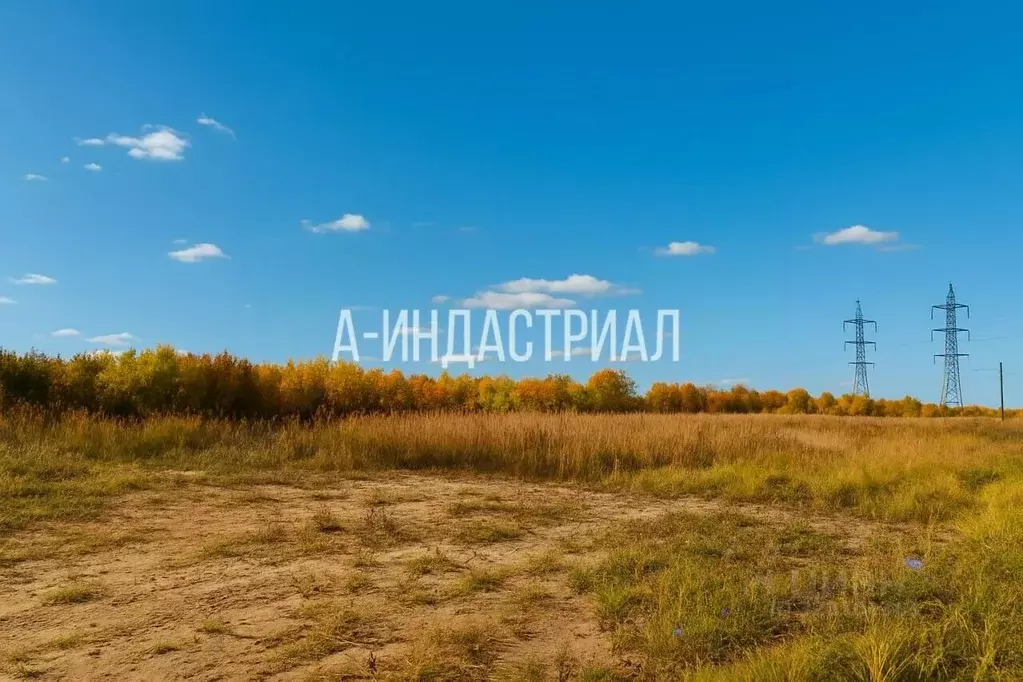 Участок в Московская область, Домодедово городской округ, д. Кучино, ... - Фото 2