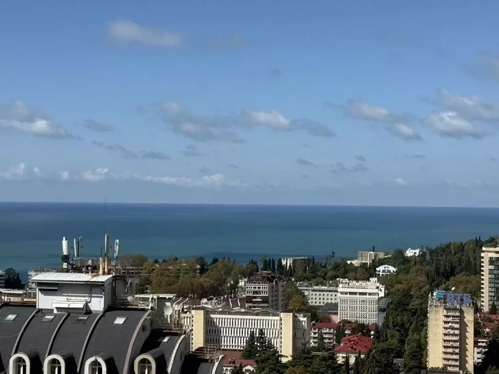 3-к кв. Краснодарский край, Сочи Центральный мкр, ул. Первомайская, 21 ... - Фото 2