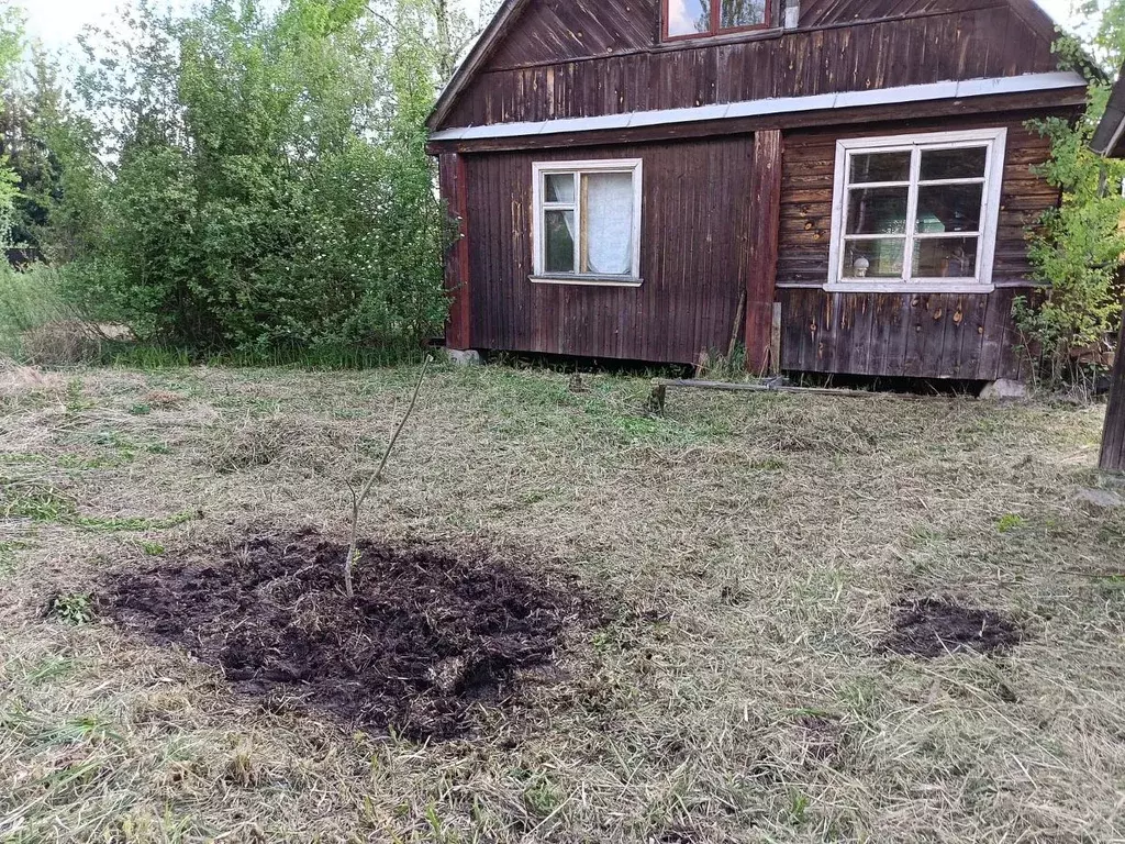 Дом в Владимирская область, Киржачский муниципальный округ, ... - Фото 1