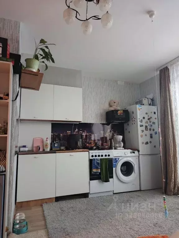 Студия Челябинская область, с. Аргаяш ул. Механизаторов, 4 (23.9 м) - Фото 1