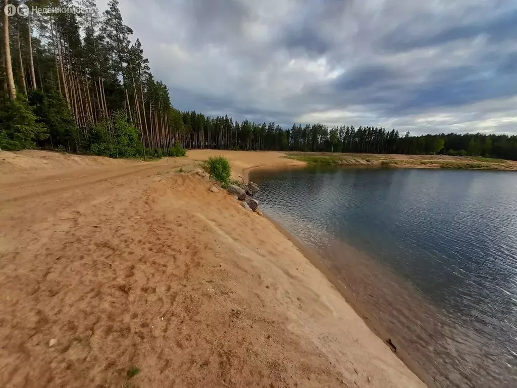 Участок в Пениковское сельское поселение, садоводческое некоммерческое ... - Фото 0