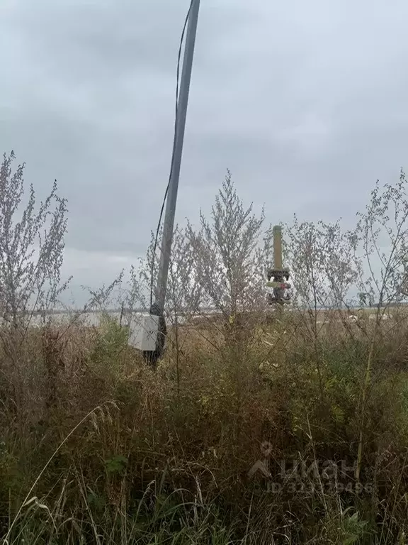 Участок в Новосибирская область, Ордынский район, Порт Пичуги кп  ... - Фото 1