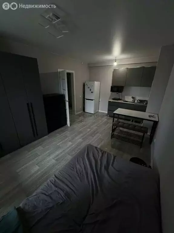 Квартира-студия: Новосибирск, Спортивная улица, 41 (27 м) - Фото 1
