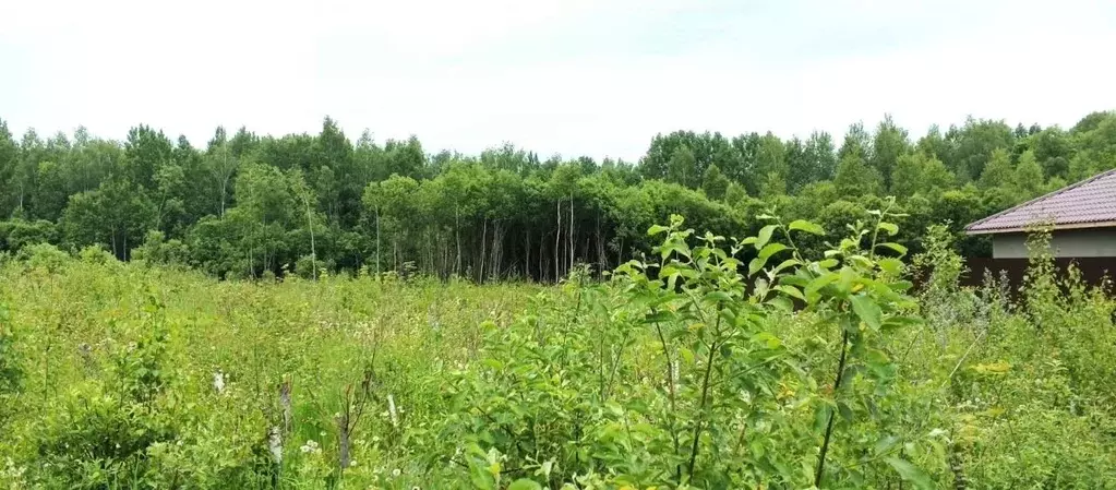 Участок в Калужская область, Калуга городской округ, д. Груздово уч73 ... - Фото 2