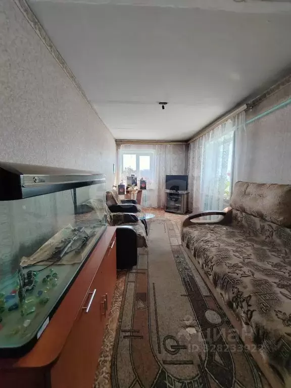 Дом в Амурская область, Ивановский муниципальный округ, с. Среднебелое ... - Фото 2