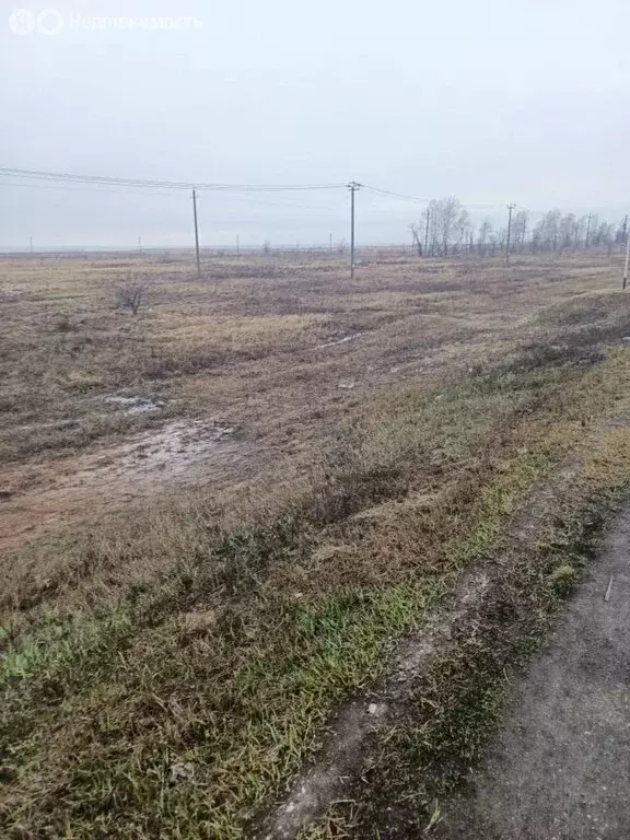 Участок в посёлок Подлесный, Мятная улица, 11 (86 м) - Фото 1