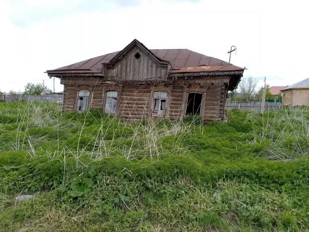 Участок в Омская область, Омский район муниципальный округ, с. ... - Фото 1