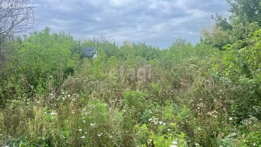 Участок в Аровский сельсовет, СТ Черёмушки (8.3 м) - Фото 1