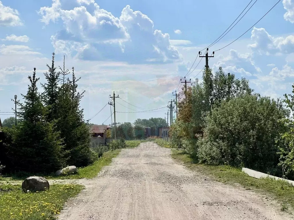 Участок в Ленинградская область, Волосовский район, д. Клопицы ул. ... - Фото 1