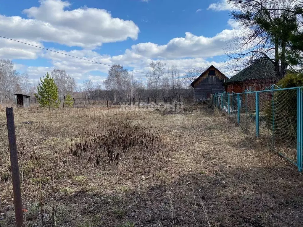 Участок в Новосибирская область, Тогучинский район, Театрал-2 садовое ... - Фото 0