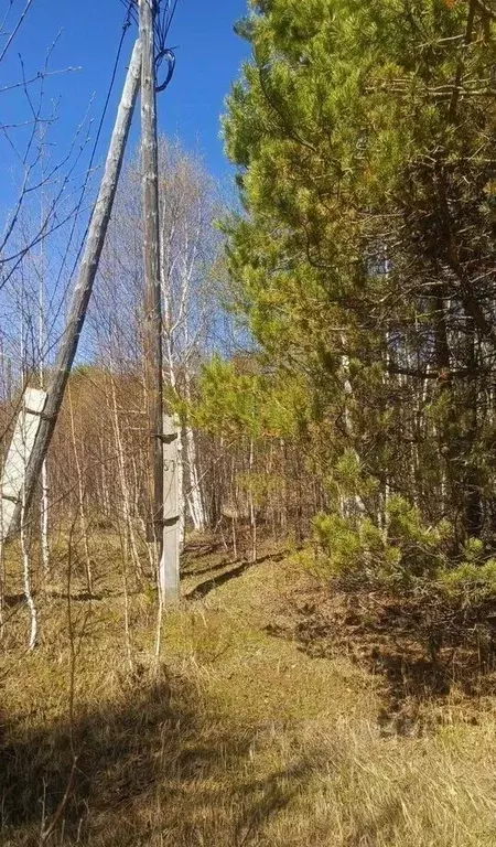 Участок в Бурятия, Баргузинский район, с. Максимиха, Территория ... - Фото 1