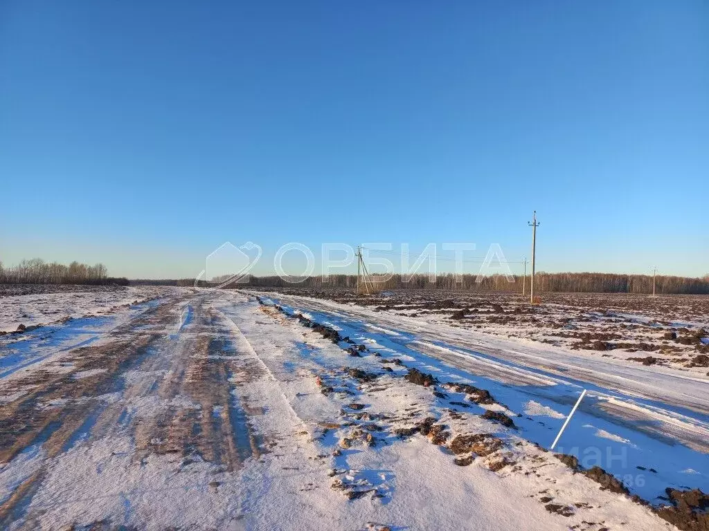 Участок в Тюменская область, Тюменский район, с. Горьковка  (6.0 сот.) - Фото 1