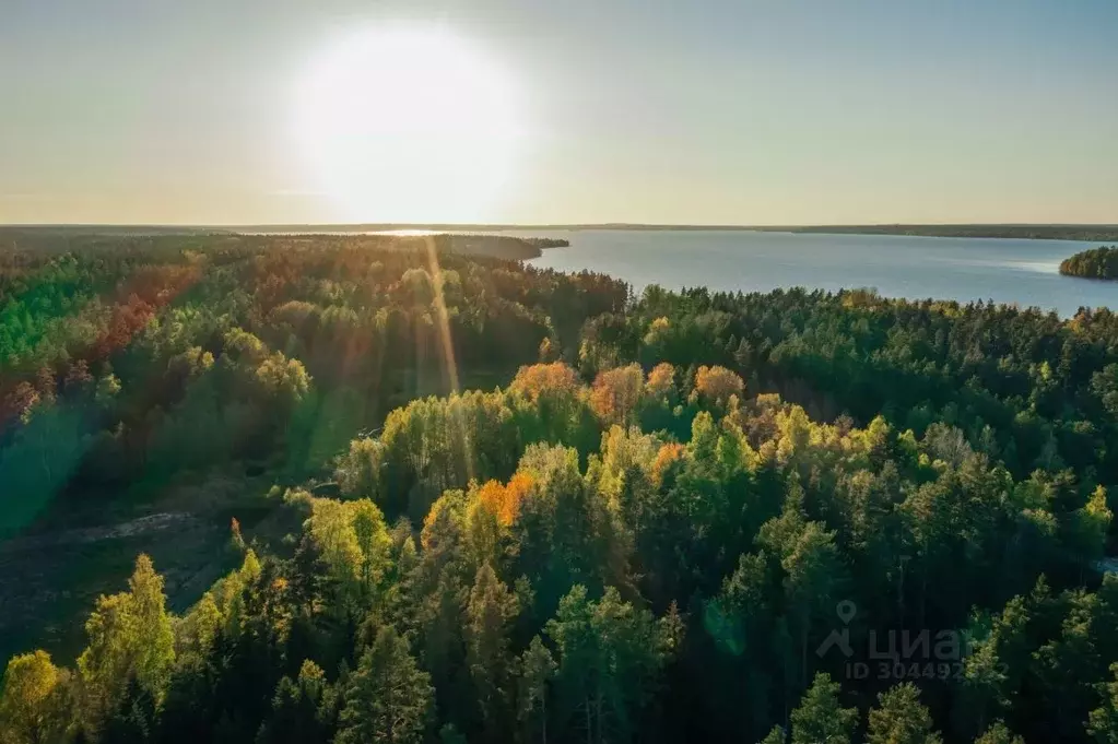 Участок в Ленинградская область, Приозерский район, Ромашкинское ... - Фото 0