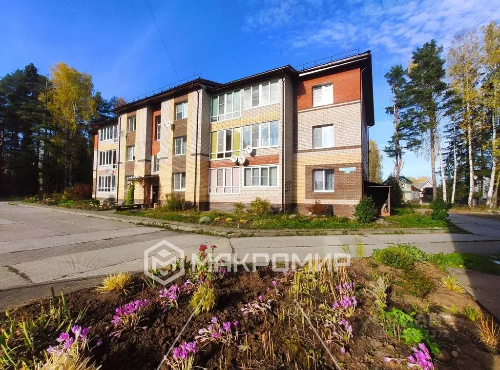 3-к кв. Кировская область, Куменский район, Нижнеивкино пгт ул. ... - Фото 1