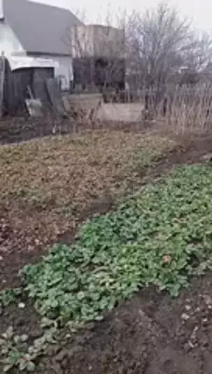 Участок 5,8 сот. (СНТ, ДНП) - Фото 1