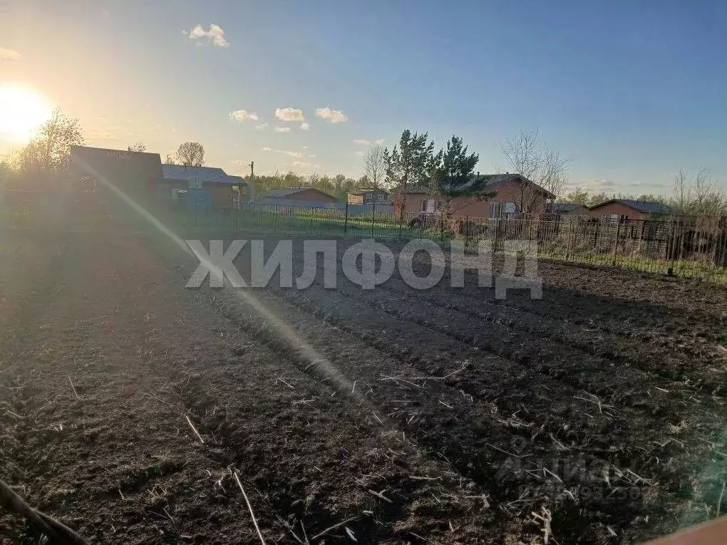 Участок в Новосибирская область, Новосибирский район, Кубовинский ... - Фото 1