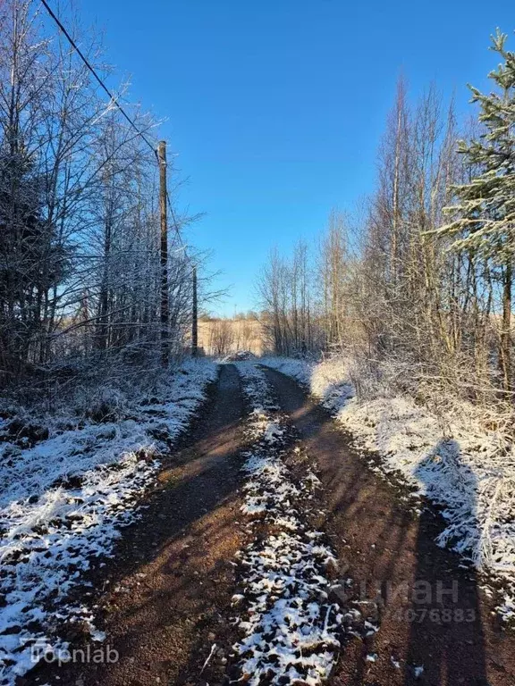 Участок в Ленинградская область, Выборгский район, Первомайское с/пос, ... - Фото 2