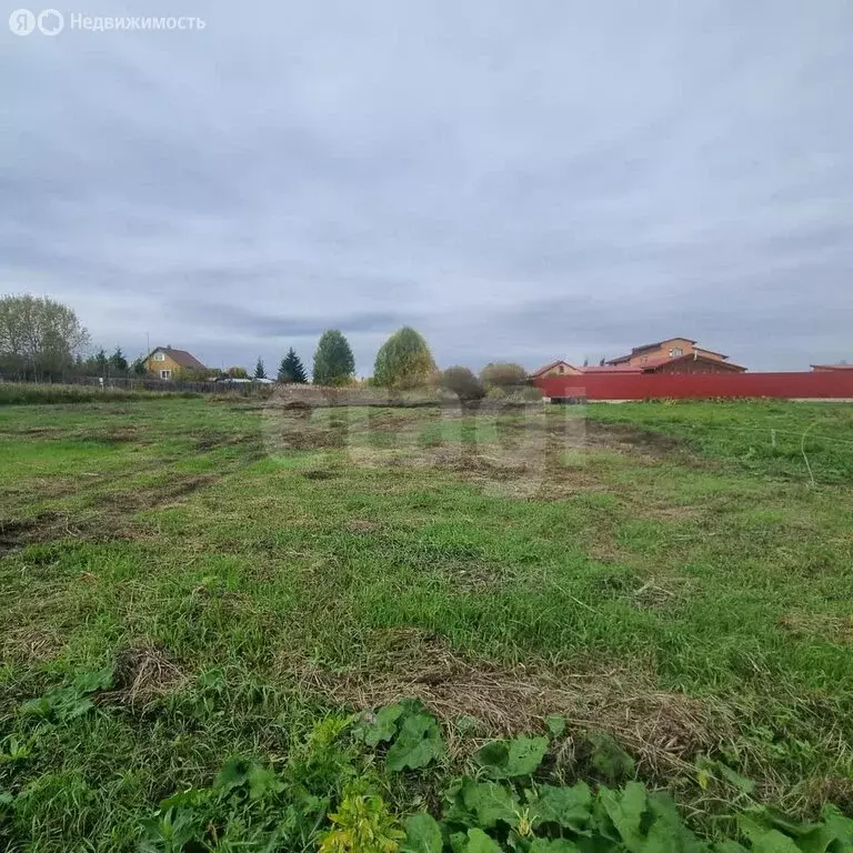 Участок в Тюменский муниципальный округ, деревня Речкина (19 м) - Фото 2