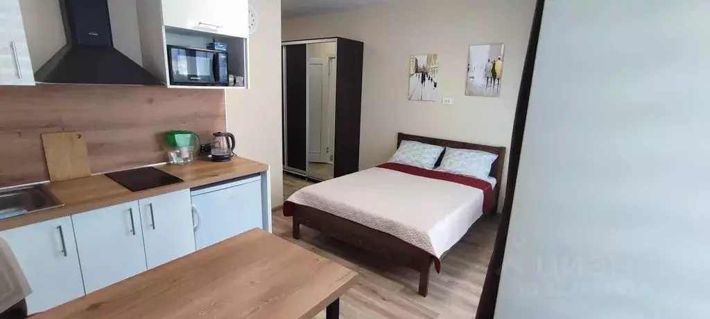 Студия Пермский край, Пермь Теплогорская ул., 24к4 (24.0 м) - Фото 1