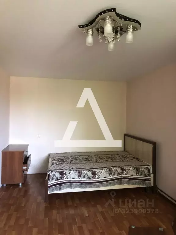 1-к кв. Самарская область, Самара Воронежская ул., 236 (31.0 м) - Фото 1