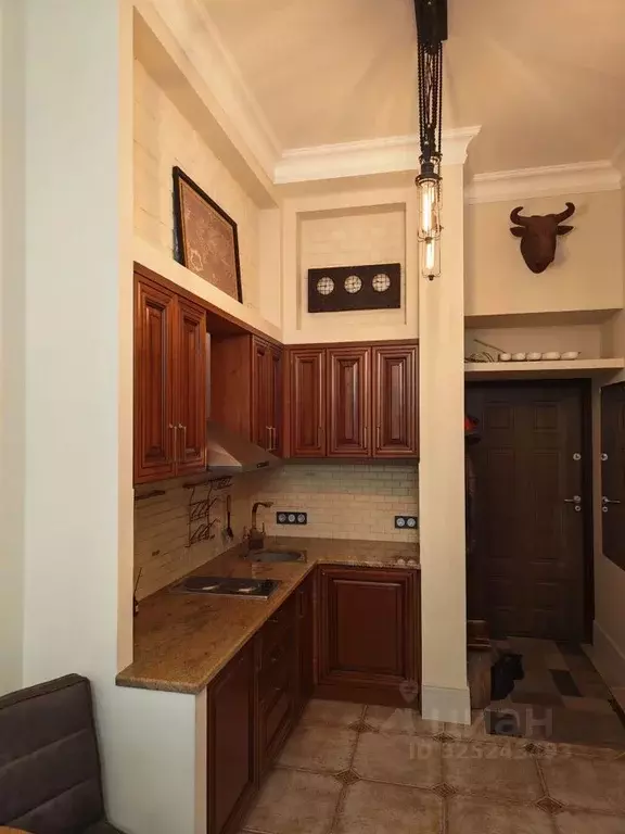 Студия Санкт-Петербург наб. Реки Фонтанки, 88 (24.8 м) - Фото 1