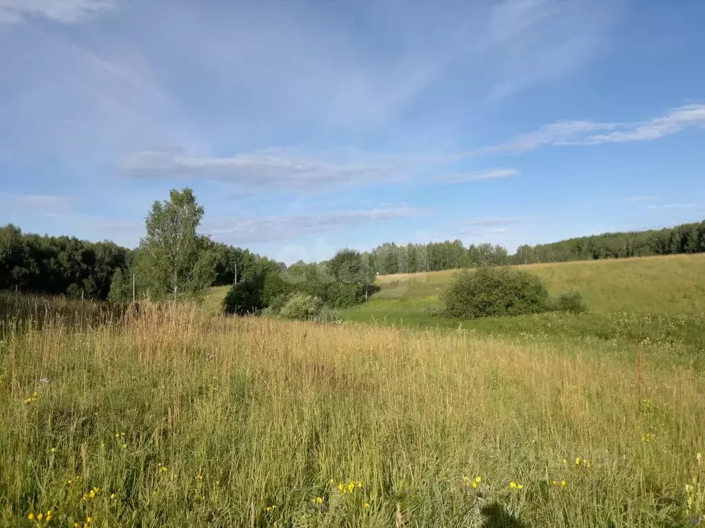 Участок в Новосибирская область, Новосибирск  (850.0 сот.) - Фото 0