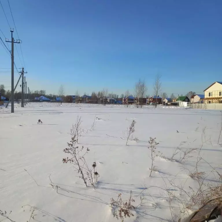 Участок в Новосибирская область, Новосибирский район, Станционный ... - Фото 0