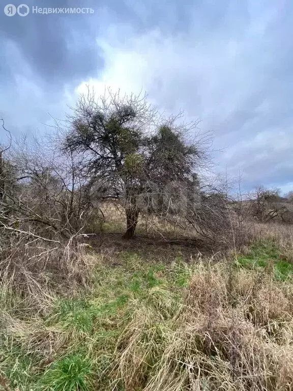 Участок в Калининградская область, Зеленоградский муниципальный округ, ... - Фото 2