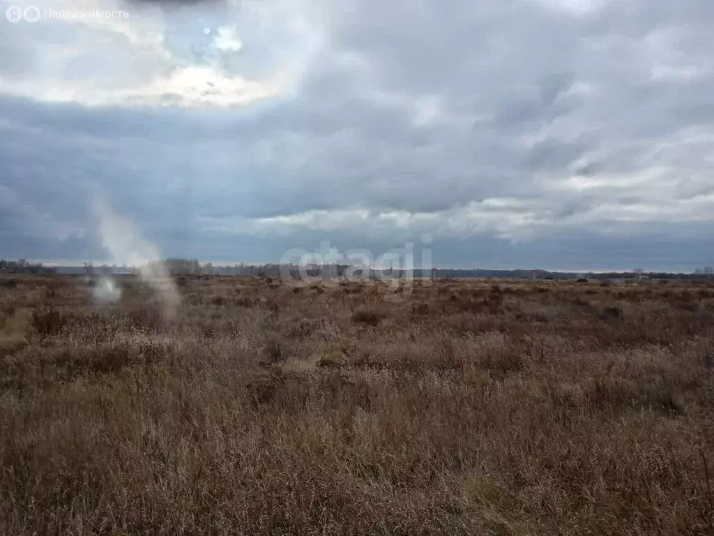 Участок в Омский район, село Усть-Заостровка (21.88 м) - Фото 0