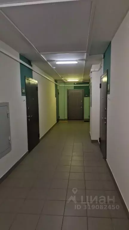 1-к кв. Ленинградская область, Мурино Всеволожский район, ул. Шоссе в ... - Фото 1