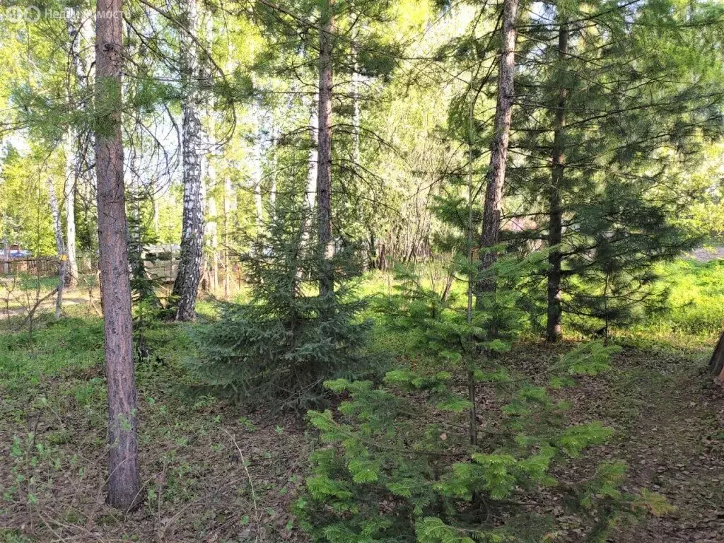 Дом в Мошковский район, садовое товарищество Смородинка, Зелёная ... - Фото 0