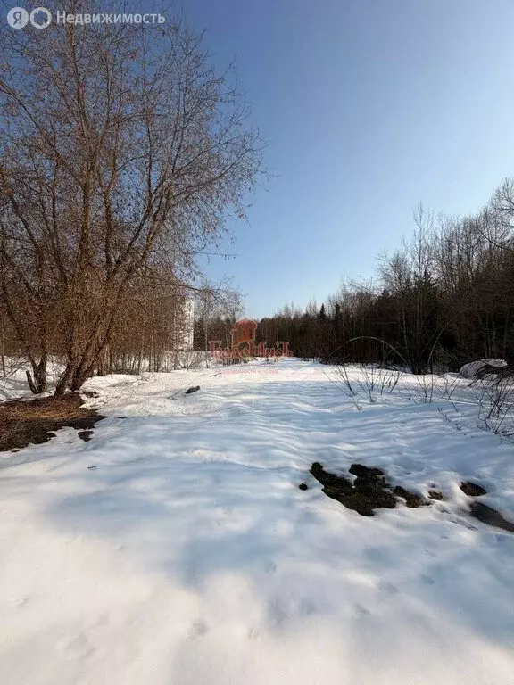 Участок в Пересвет, улица Строителей (6 м) - Фото 1