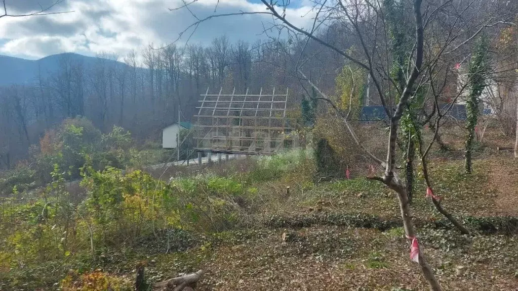 Участок в Краснодарский край, Геленджик городской округ, Строитель СТ  ... - Фото 1