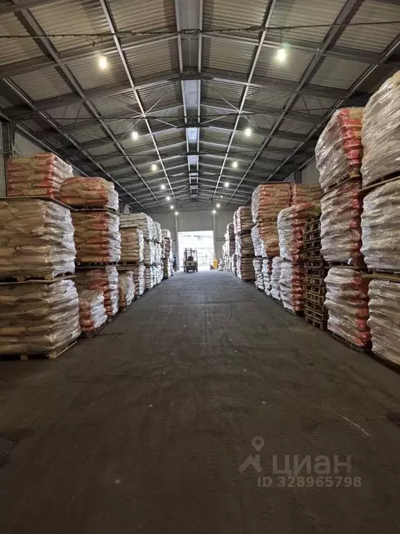 Склад в Московская область, Раменское ул. Михалевича, 70а (1296 м) - Фото 1