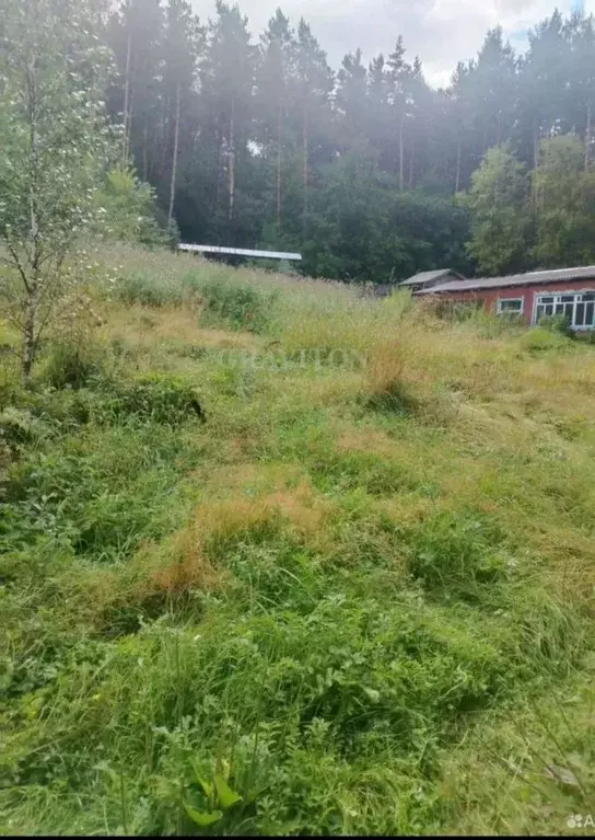 Дом в Алтай, Горно-Алтайск ул. Турочакская (85 м) - Фото 2