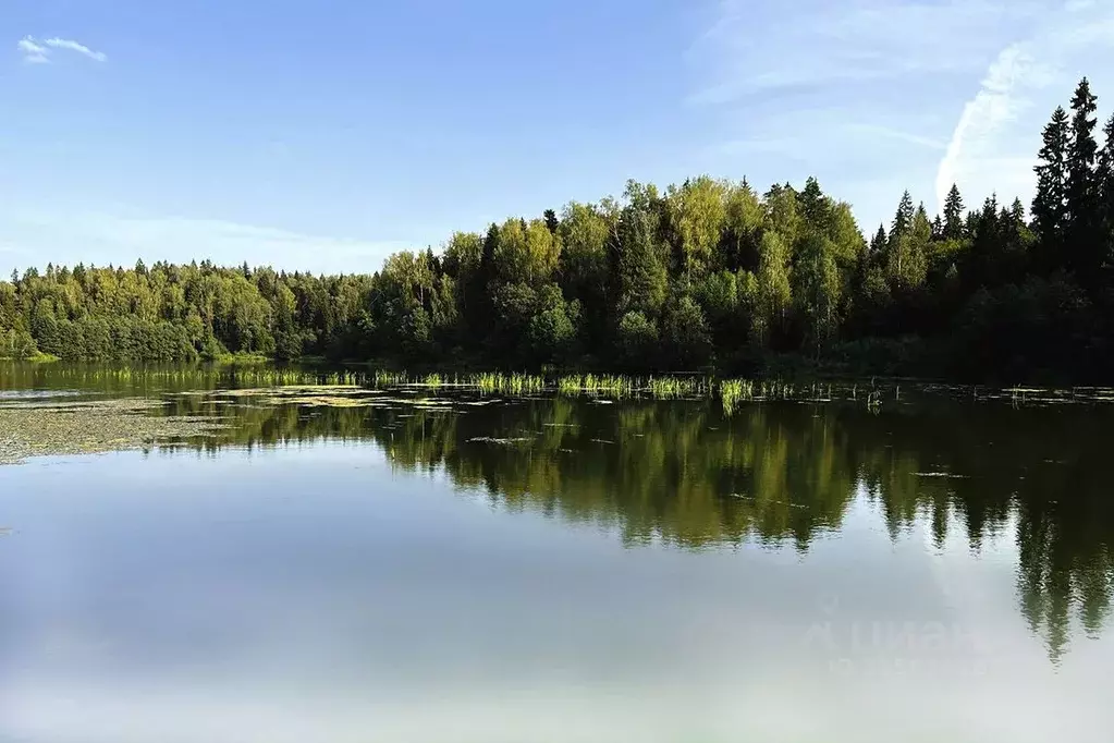 Участок в Московская область, Дмитровский муниципальный округ, д. ... - Фото 2