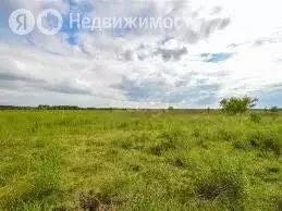 Участок в Курганская область, Кетовский муниципальный округ, деревня ... - Фото 2