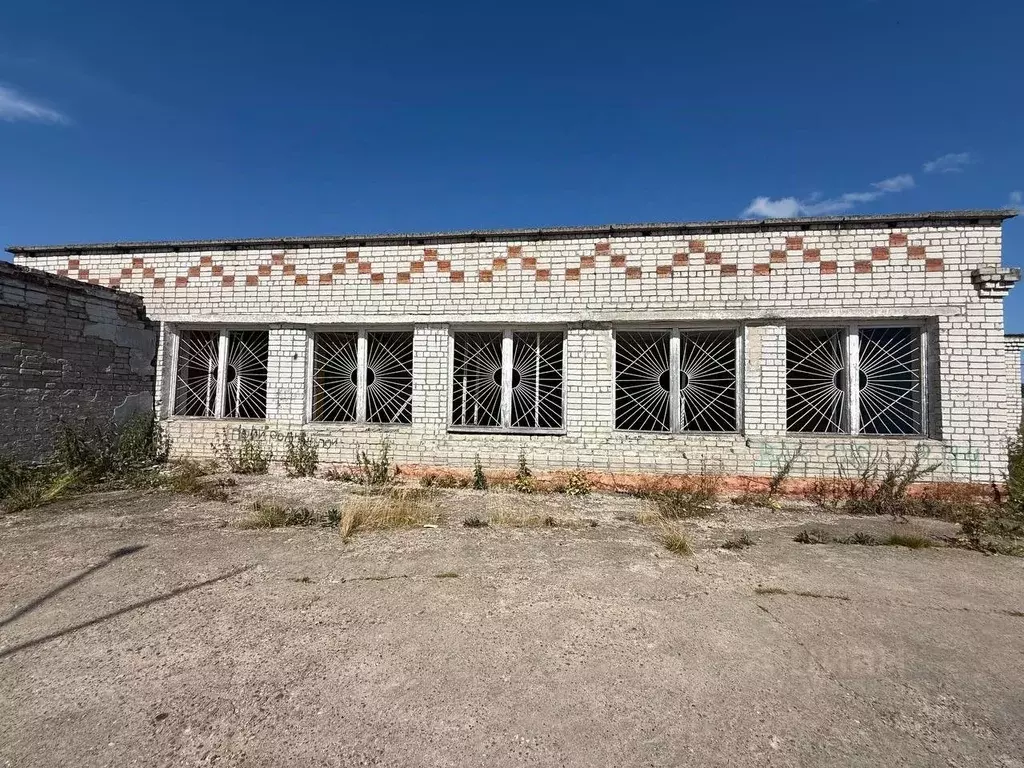 Помещение свободного назначения в Пермский край, Березники ... - Фото 2