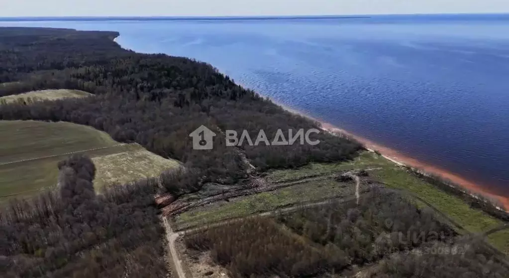 Участок в Ярославская область, Рыбинский муниципальный округ, с. ... - Фото 0