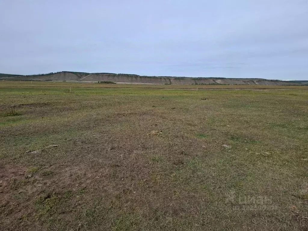 Участок в Саха (Якутия), Якутск городской округ, с. Хатассы  (10.0 ... - Фото 2