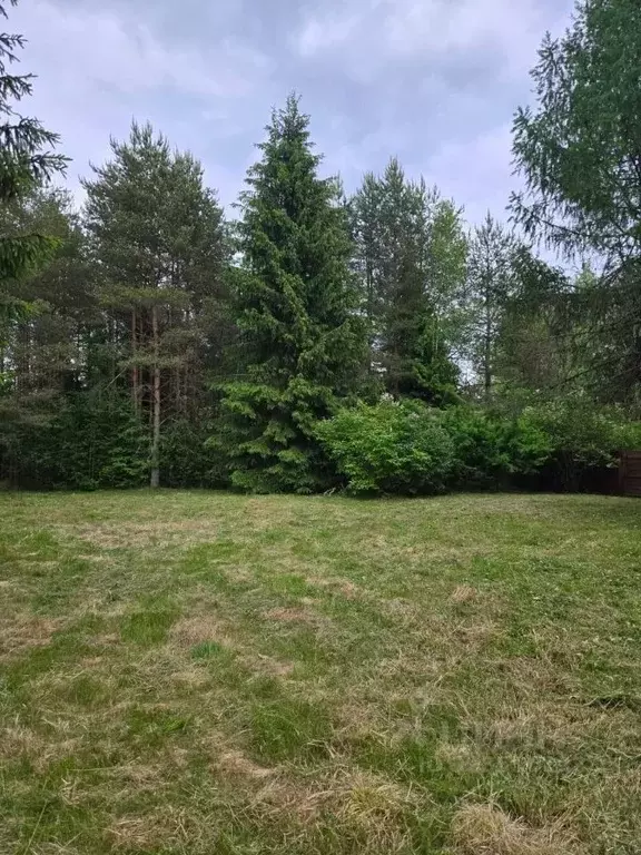 Участок в Ленинградская область, Всеволожский район, Юкковское с/пос, ... - Фото 1