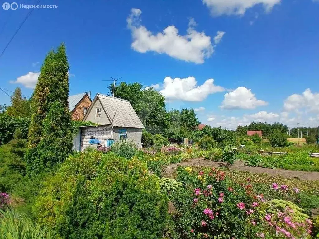 Дом в Рамонский район, Новоживотинновское сельское поселение, СНТ ... - Фото 0