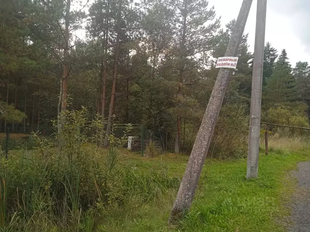 Участок в Ленинградская область, Тосненский район, Трубникоборское ... - Фото 1