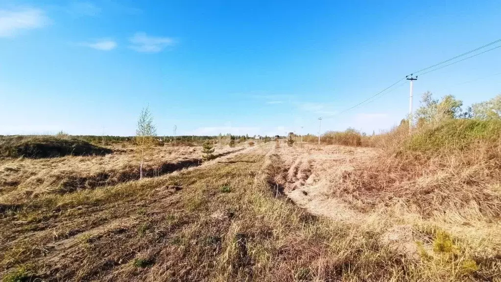 Участок в Тюменская область, Нижнетавдинский муниципальный округ, ... - Фото 1