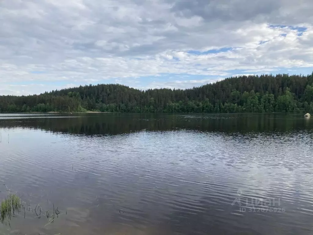 Участок в Карелия, Лахденпохский район, Куркиекское с/пос, пос. ... - Фото 0