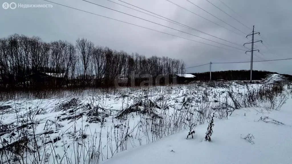 Участок в Архангельск, М-8, Подъезд к аэропорту Архангельск (Талаги), ... - Фото 1